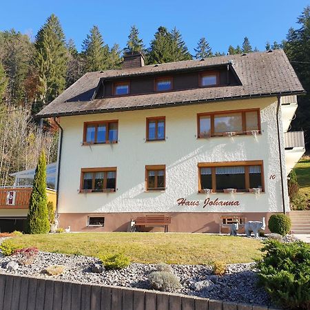 Haus Johanna 托特莫斯 外观 照片